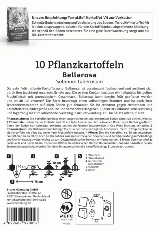 KIEPENKERL PROFI LINE Pflanzkartoffel 'Bellarosa', festkochend, 10 Stück - Gallerie Bild 2